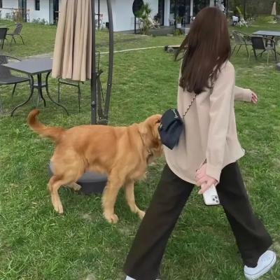 女子分手专家